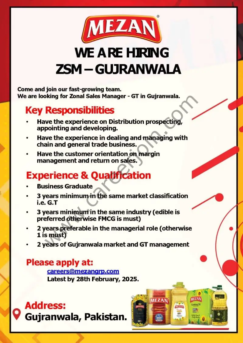 Mezan Group Jobs ZSM